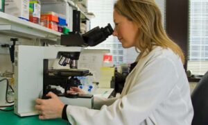 biomedical research career path degree requirementsopportunities