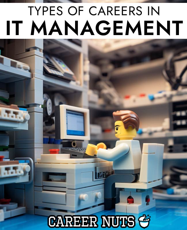 types-of-Career-in-it-management-1