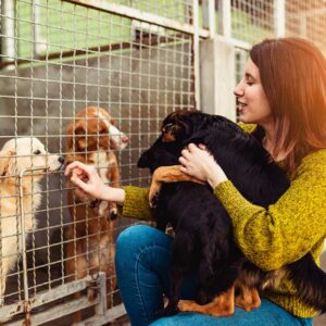 Young woman in dog shelter playing with dogs an choosing which one to adobt.